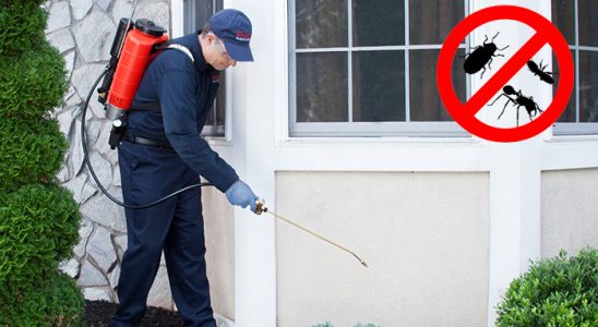 Simav Kene İlaçlama böcek ilaçlama ve haşere kontrolü — ilaclama-tr.com
